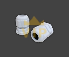 oc-xiet-cap-nhua-pg-11-evgeny