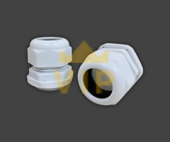 oc-xiet-cap-nhua-pg-29-evgeny