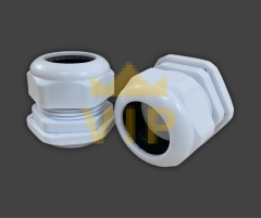 oc-xiet-cap-nhua-pg-42-evgeny